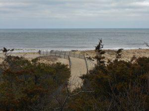 Atlantic shore sand dune