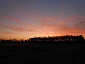 Delaware field sunrise