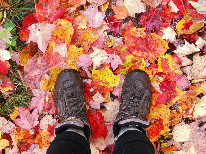 Heaven Beneath Our Feet